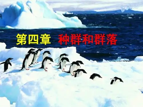 种群的特征