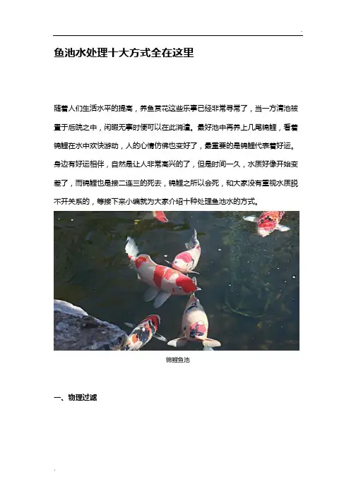 鱼池水处理十大方式全在这里