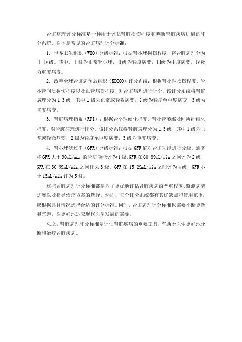 肾脏病理评分标准