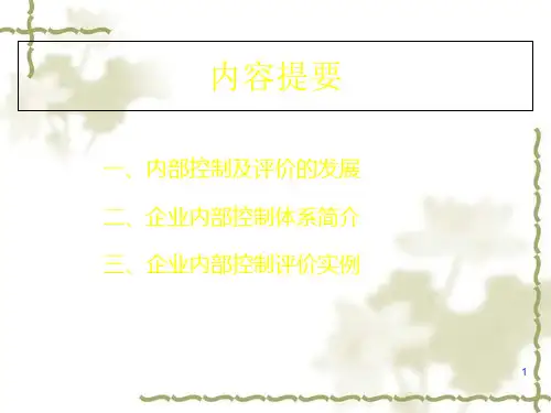 中国石化内部控制及评价