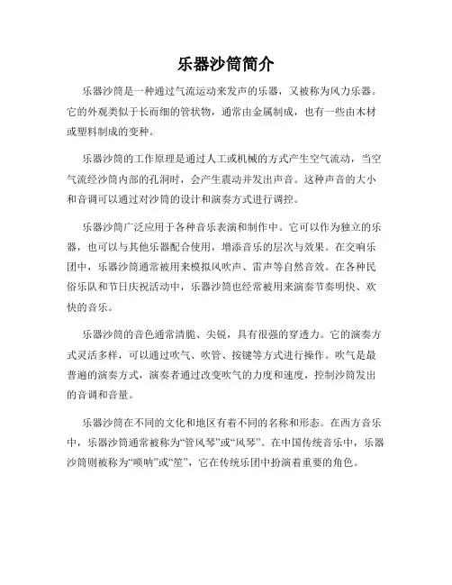 乐器沙筒简介