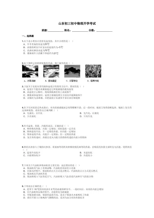 山东初三初中物理开学考试带答案解析
