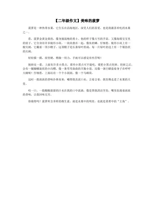 【二年级作文】美味的菠萝