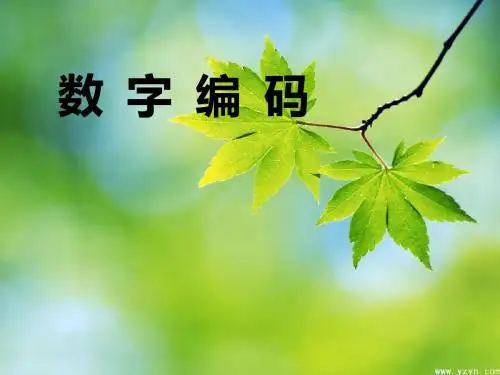 人教版数学五年级上册《数字编码》说课课件