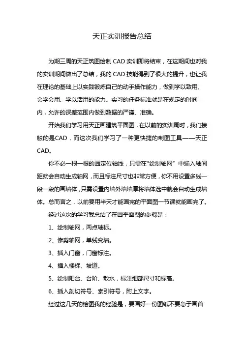天正实训报告总结