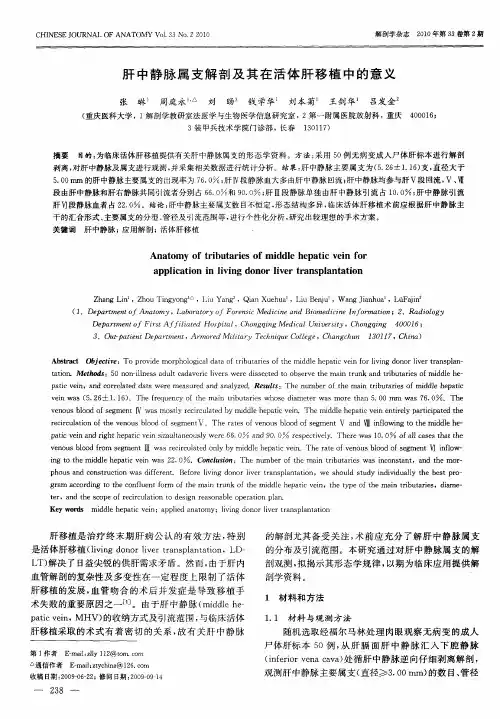 肝中静脉属支解剖及其在活体肝移植中的意义