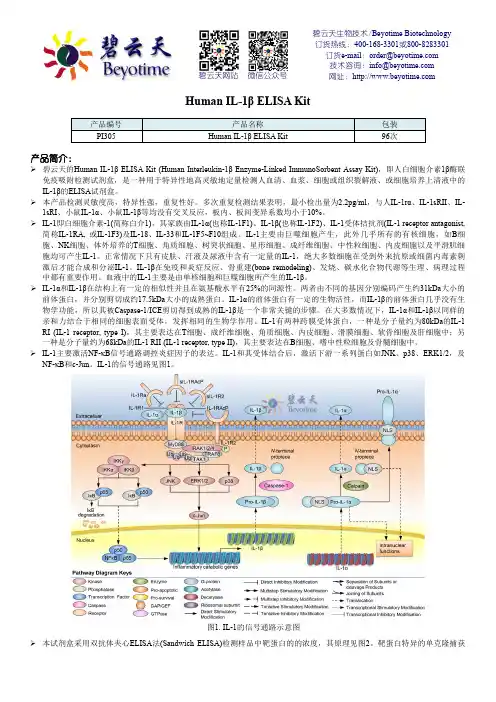 碧云天生物技术 Human IL-1β ELISA Kit 说明书