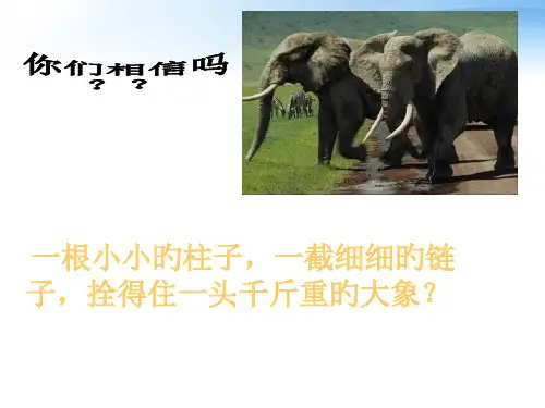 中学主题班会-播种习惯-收获人生课件市公开课获奖课件省名师示范课获奖课件