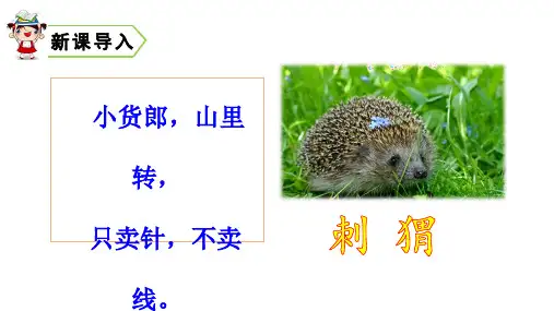部编版小学语文三年级上册  23 带刺的朋友  课件(31张PPT)