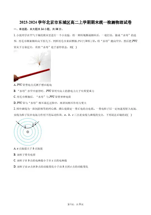 2023-2024学年北京市东城区高二上学期期末统一检测物理试卷+答案解析