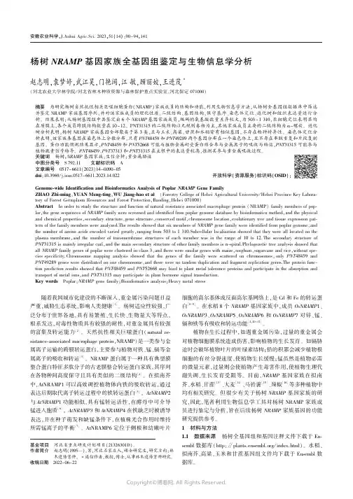 杨树NRAMP_基因家族全基因组鉴定与生物信息学分析