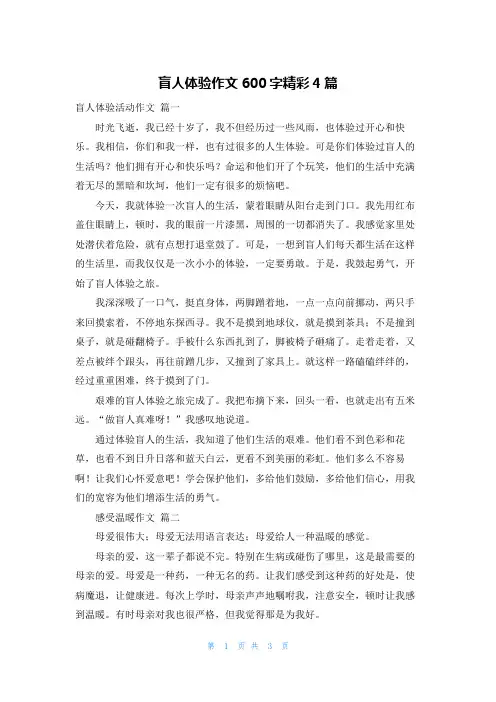 盲人体验作文600字精彩4篇
