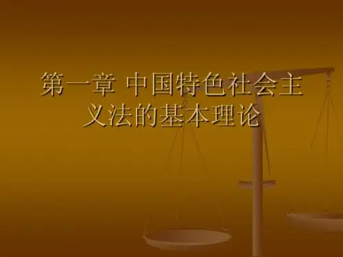 中国特色社会主义法的基本理论