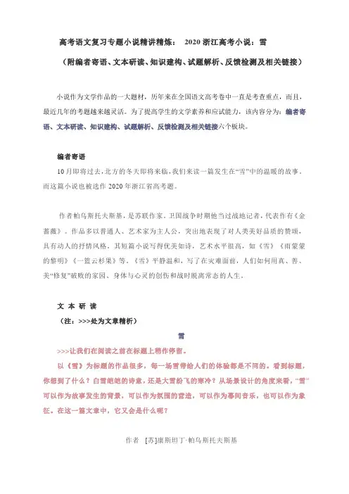 高考语文复习专题小说精讲精炼： 2020浙江高考小说《雪》
