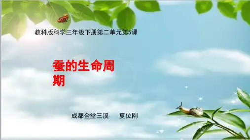 三年级科学《蚕的生命周期》课件