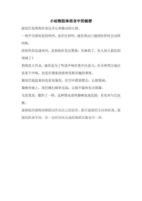 你知道哪些小动物肢体语言中的秘密呢请写一写