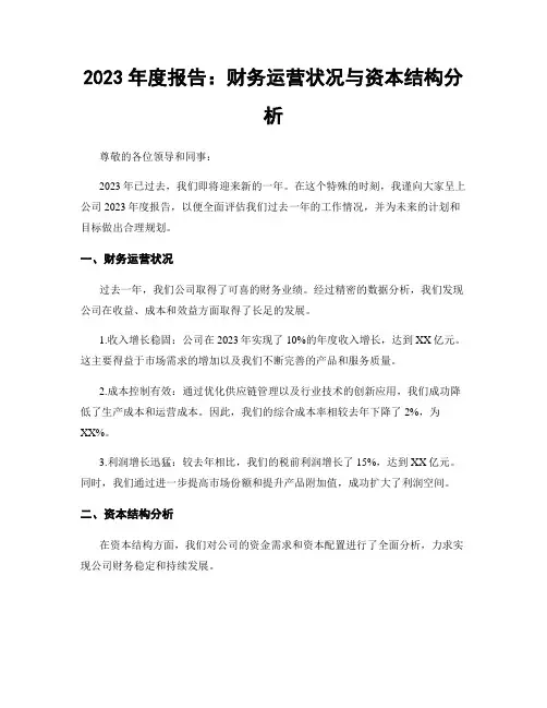 2023年度报告：财务运营状况与资本结构分析