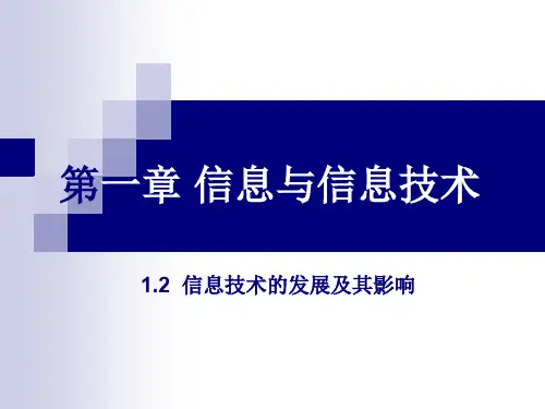 1.2.2 信息技术及其影响