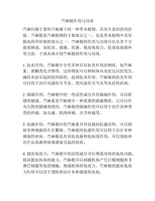 苎麻根作用与功效