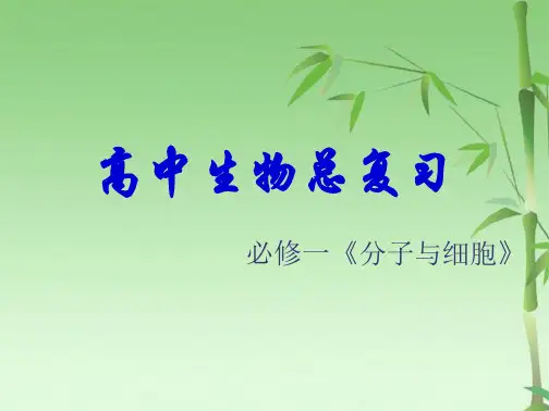 高中生物必修一全复习(共65张PPT)