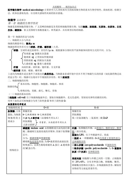 医学微生物学知识点归纳细菌学总论及肠杆菌属