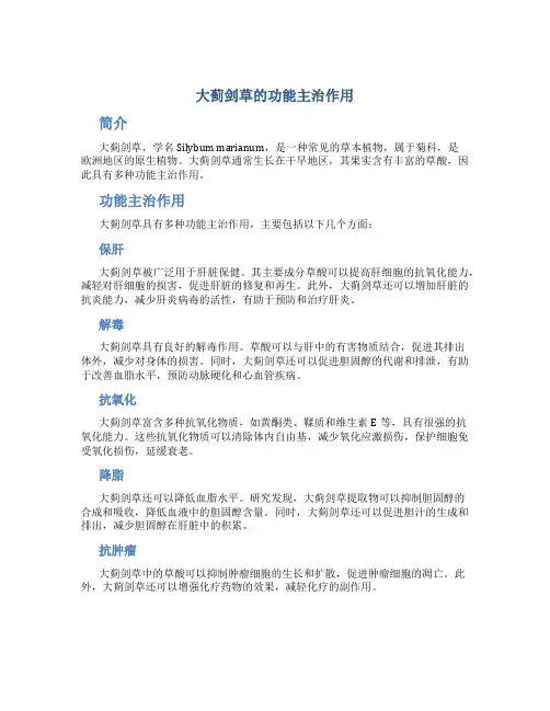 大蓟剑草的功能主治作用