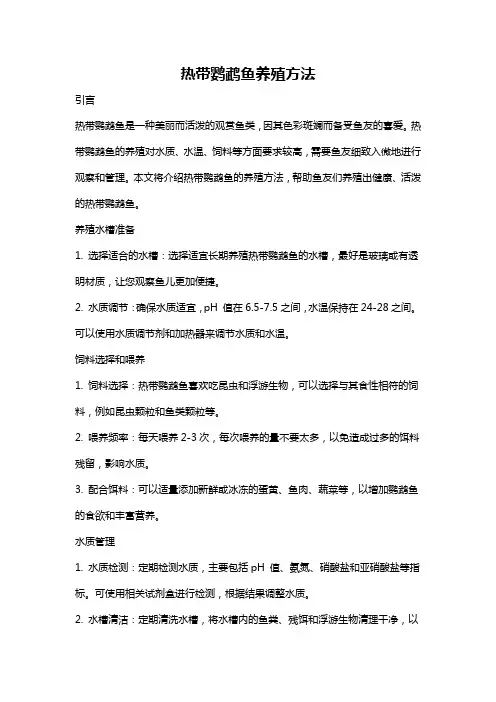 热带鹦鹉鱼养殖方法