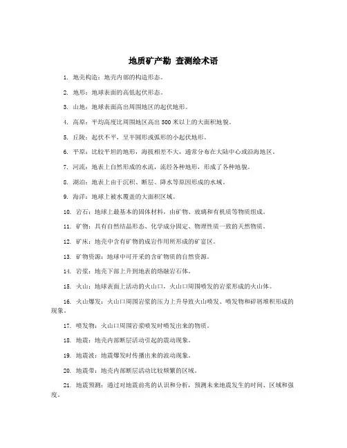 地质矿产勘 查测绘术语