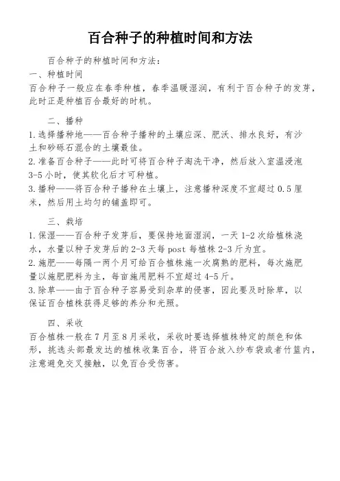 百合种子的种植时间和方法