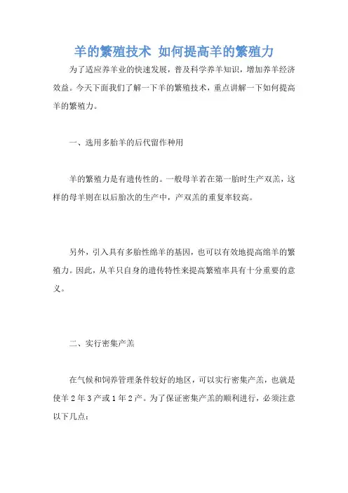 羊的繁殖技术 如何提高羊的繁殖力