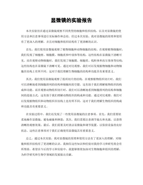 显微镜的实验报告