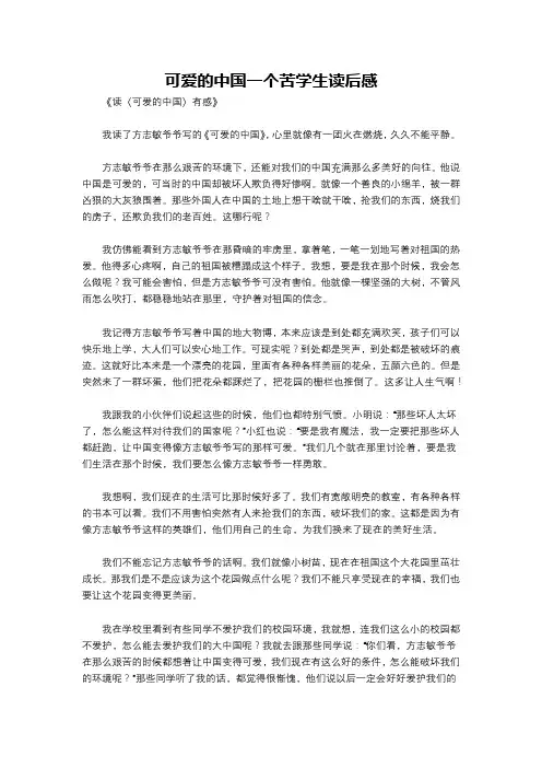 可爱的中国一个苦学生读后感