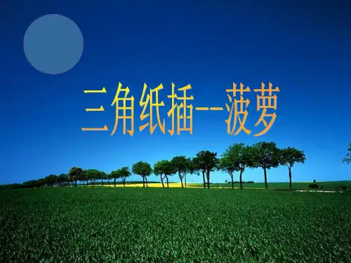 三角纸插菠萝