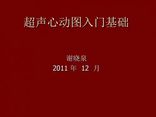超声心动图入门基础