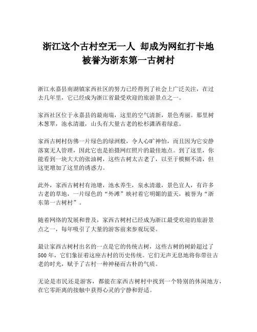 浙江这个古村空无一人 却成为网红打卡地 被誉为浙东第一古树村