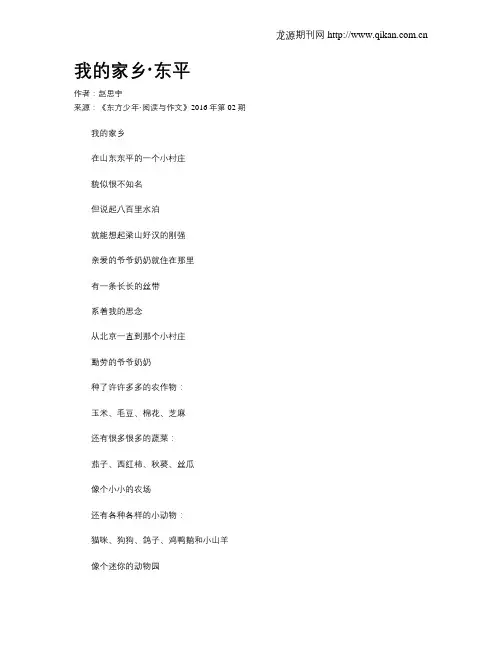 我的家乡·东平