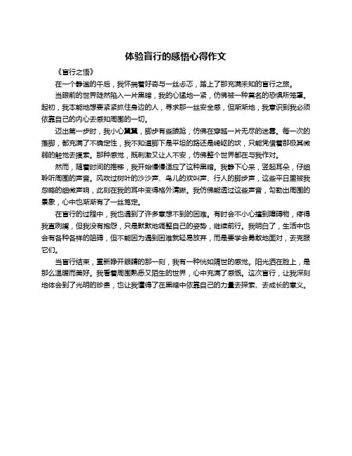 体验盲行的感悟心得作文