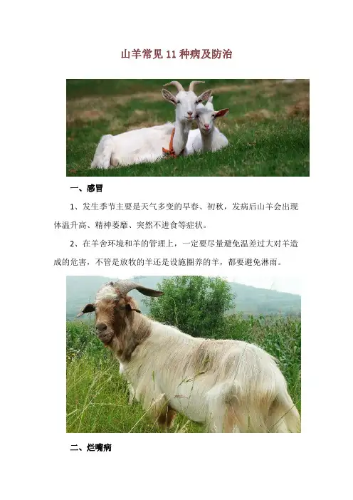 山羊常见11种病及防治