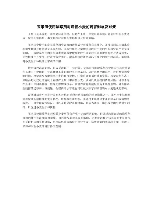 玉米田使用除草剂对后茬小麦的药害影响及对策