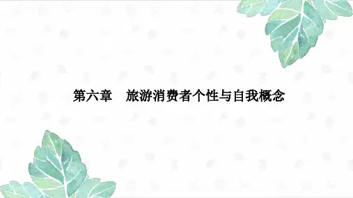 第6章  旅游消费者个性与自我概念