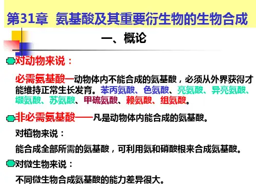 氨基酸的生物合成