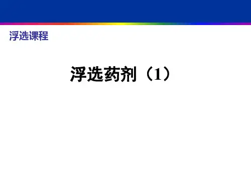矿物浮选第4章浮选药剂(1)