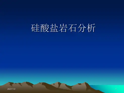 硅酸盐岩石分析2008
