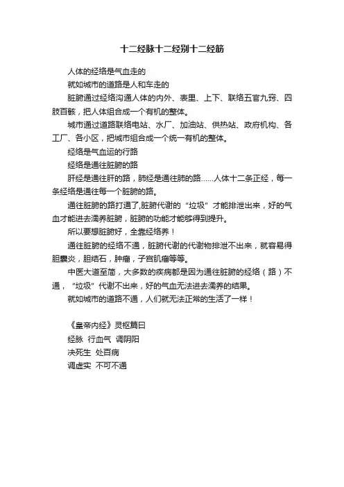 十二经脉十二经别十二经筋
