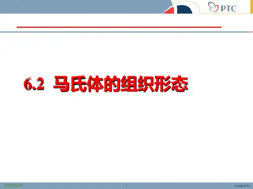 CH6.2 马氏体的组织形态PPT(10级)