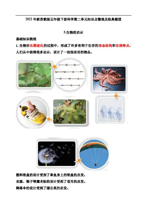 2022年新苏教版五年级下册科学第二单元知识点整理及经典题型