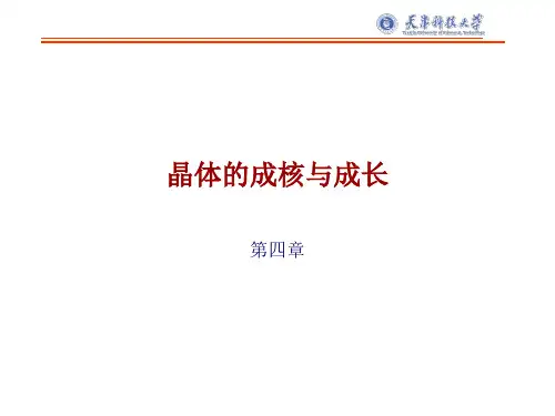 第四章-成核与成长.