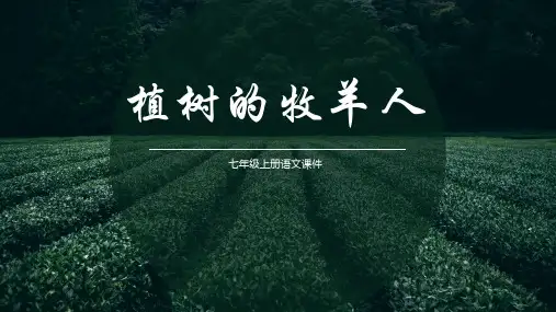 部编版七年级语文上册13.植树的牧羊人-课件