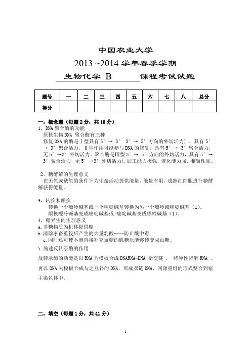 中国农业大学-生物化学期末试卷B(附参考答案)