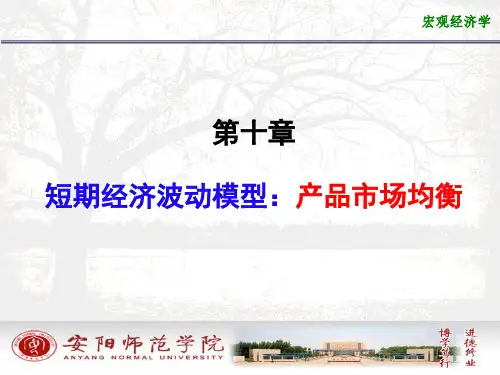 宏观经济学第十章短期经济波动模型产品市场的均衡ppt课件